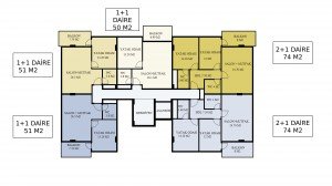 plan (1).jpg
